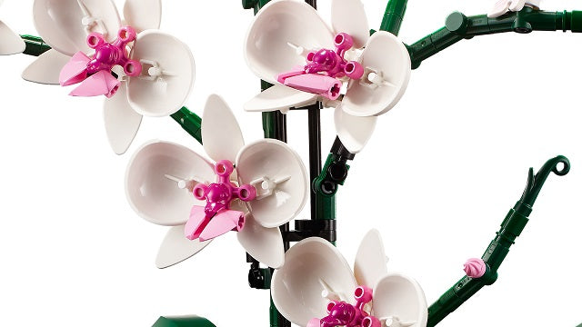 LEGO Botanical Collection - Orchid (10311)