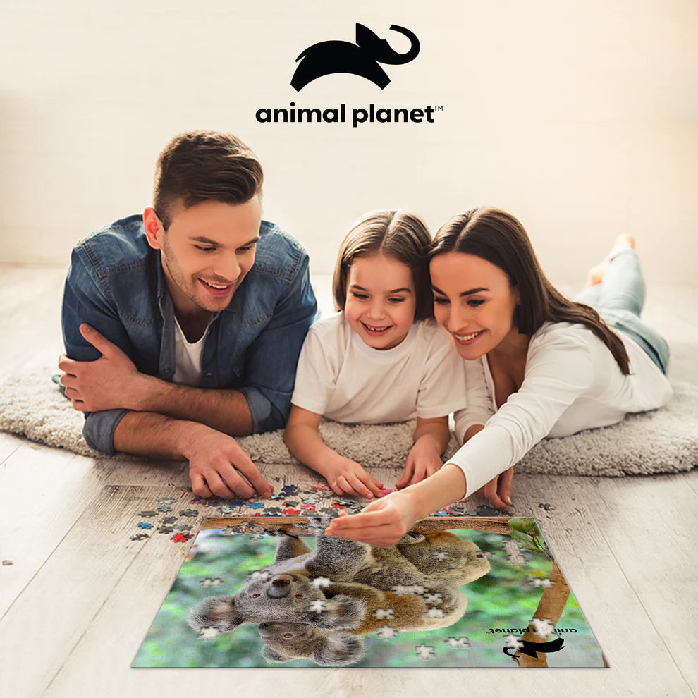 Prime 3D - Puzzle Koalas