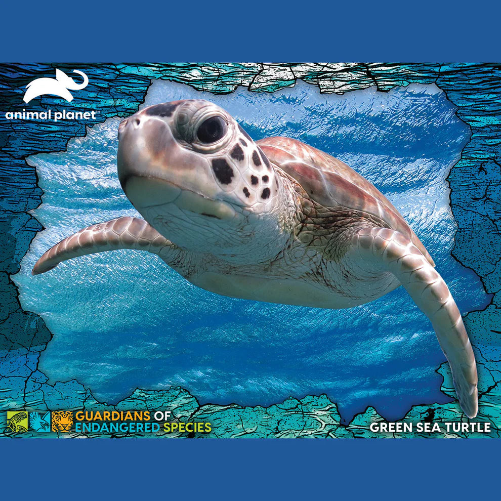 Prime 3D - Animal Planet GES Green Sea Turtle