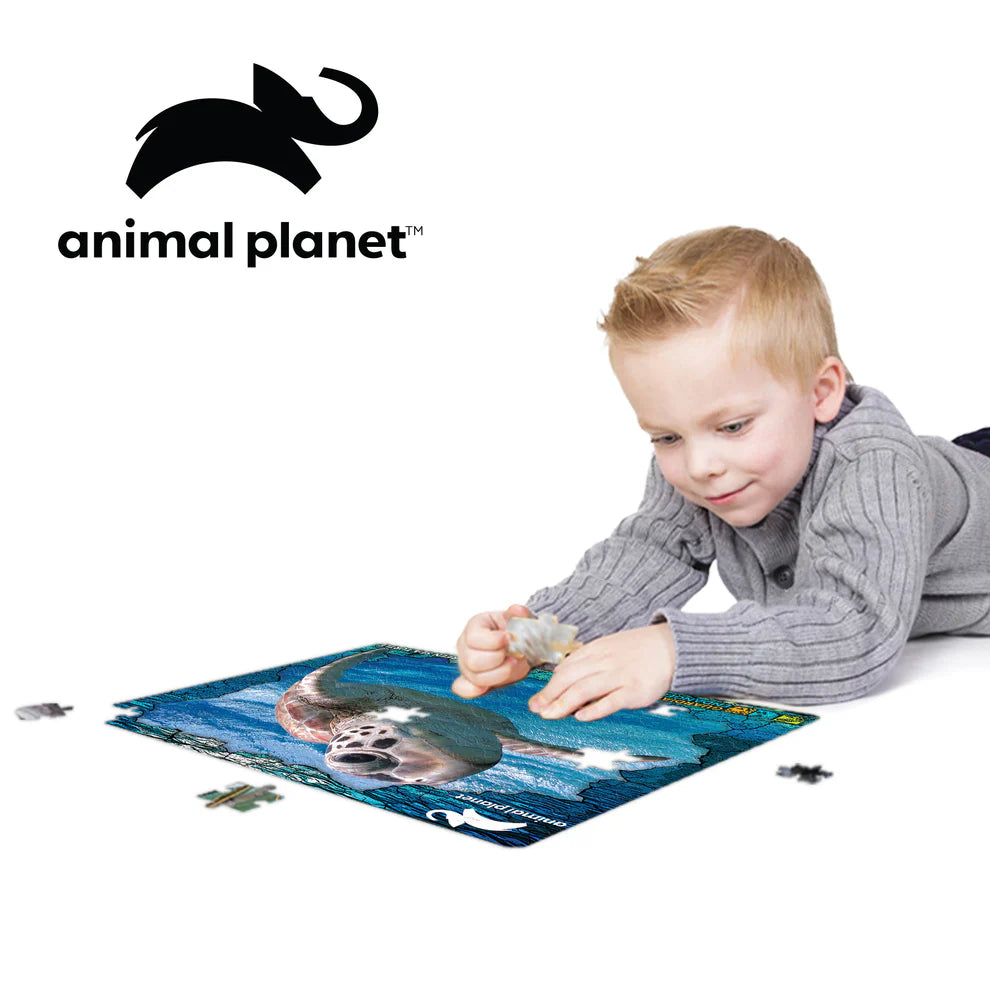 Prime 3D - Animal Planet GES Green Sea Turtle