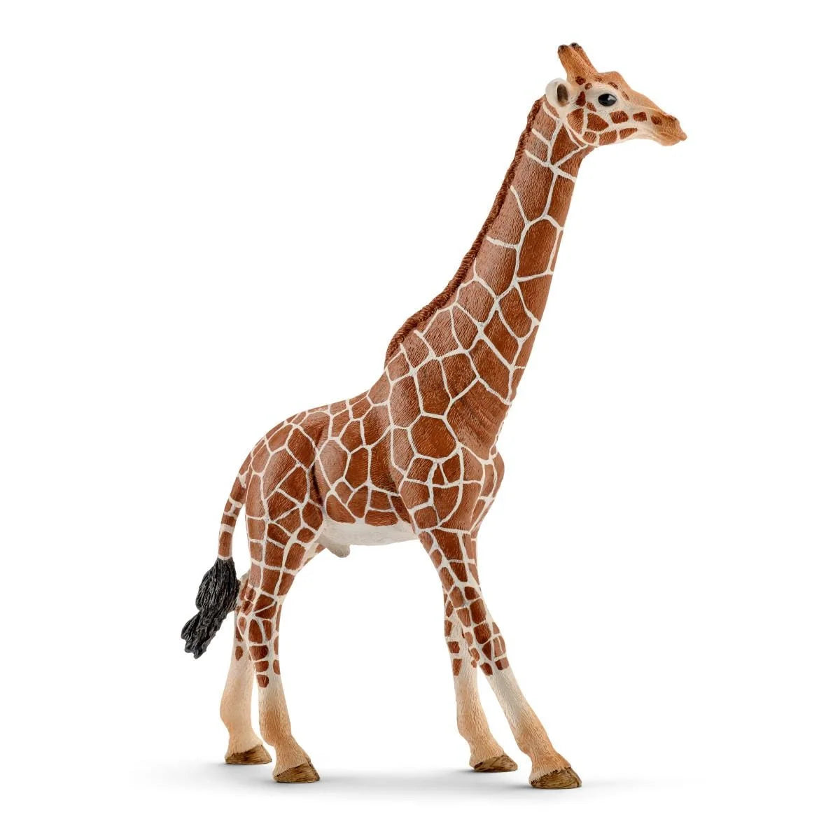 Schleich - Farm World - Giraffe Male (14749)