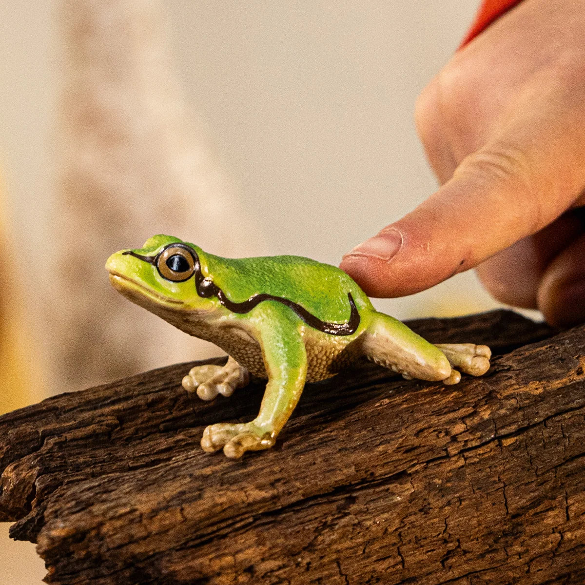 Schleich - Farm World - European Tree Frog (14882)