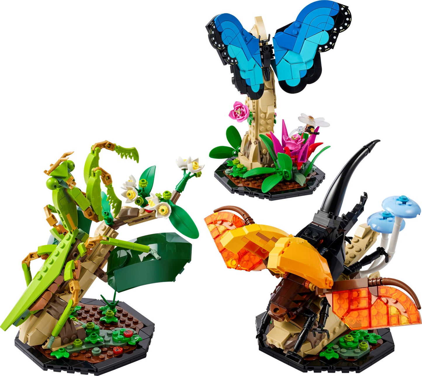 LEGO Ideas - The Insect Collection (21342)