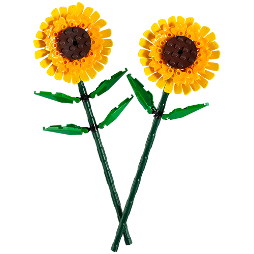 LEGO Botanicals - Sunflowers (40524)
