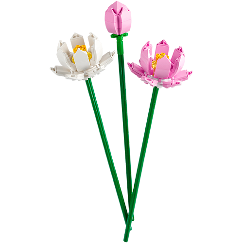 LEGO Botanicals - Lotus Flowers (40647)