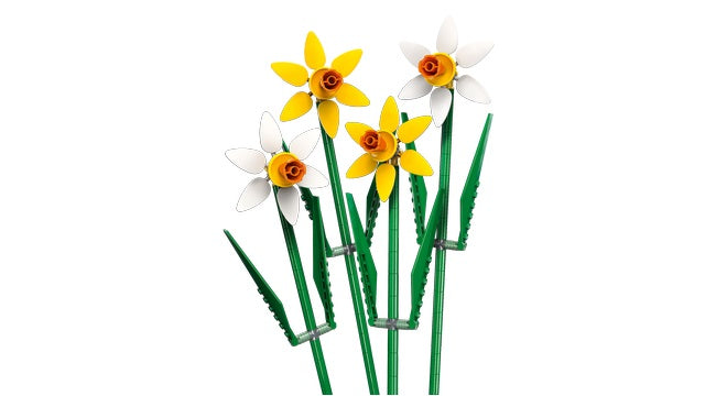 LEGO Botanicals - Daffodils (40747)