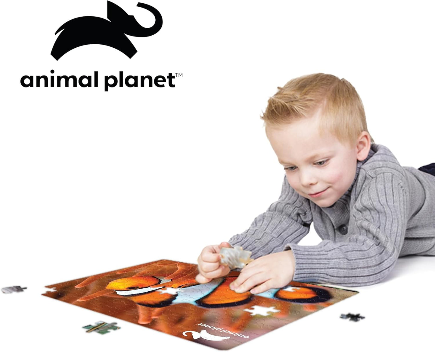 Prime 3D - Clown Fish Puzzle