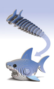 EUGY - Shark