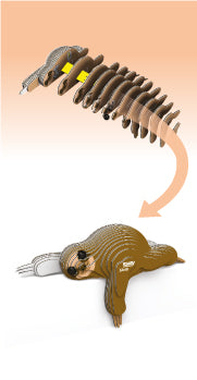 EUGY - Sloth