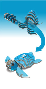 EUGY - Turtle
