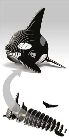 EUGY - Orca