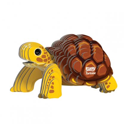 EUGY - Tortoise