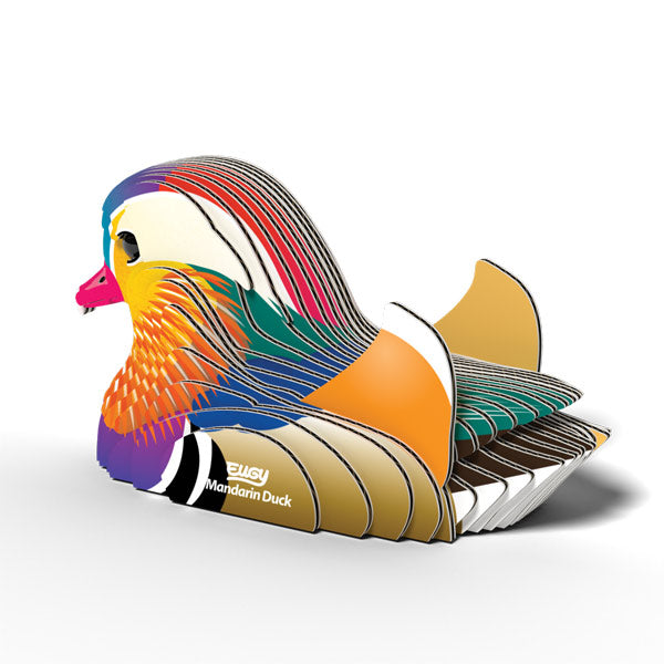 EUGY - Mandarin Duck