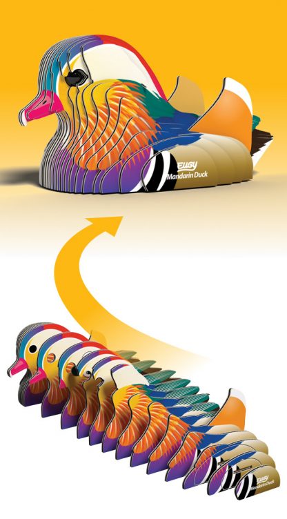 EUGY - Mandarin Duck