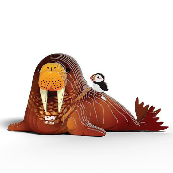 EUGY - Walrus