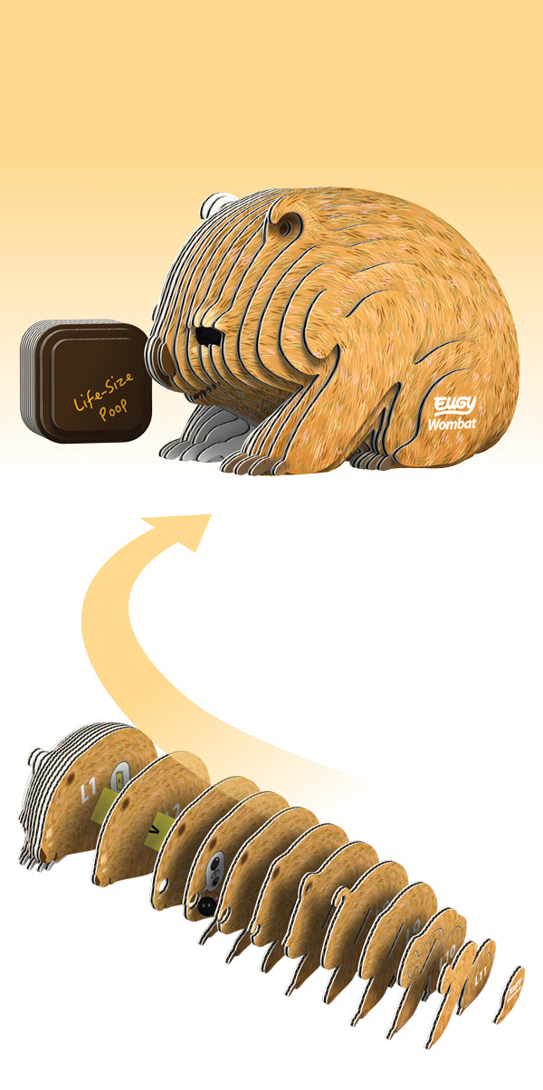 EUGY - Wombat