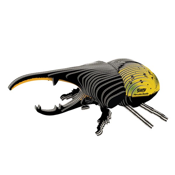EUGY - Hercules Beetle