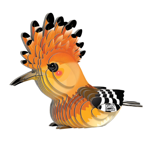 EUGY - Hoopoe