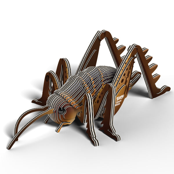 EUGY - Giant Weta