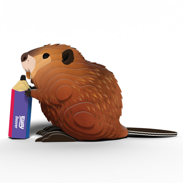 EUGY - Beaver