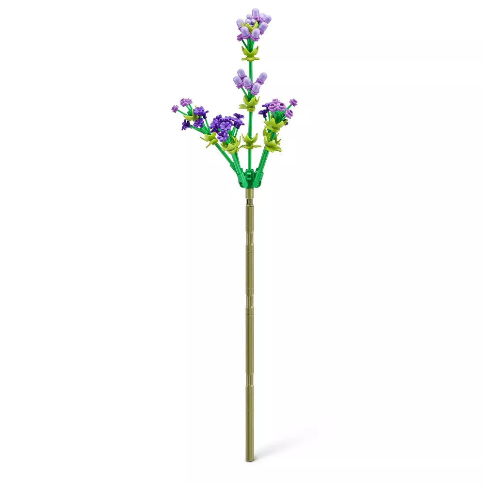 Zuru Max - S1 Rose Colledion