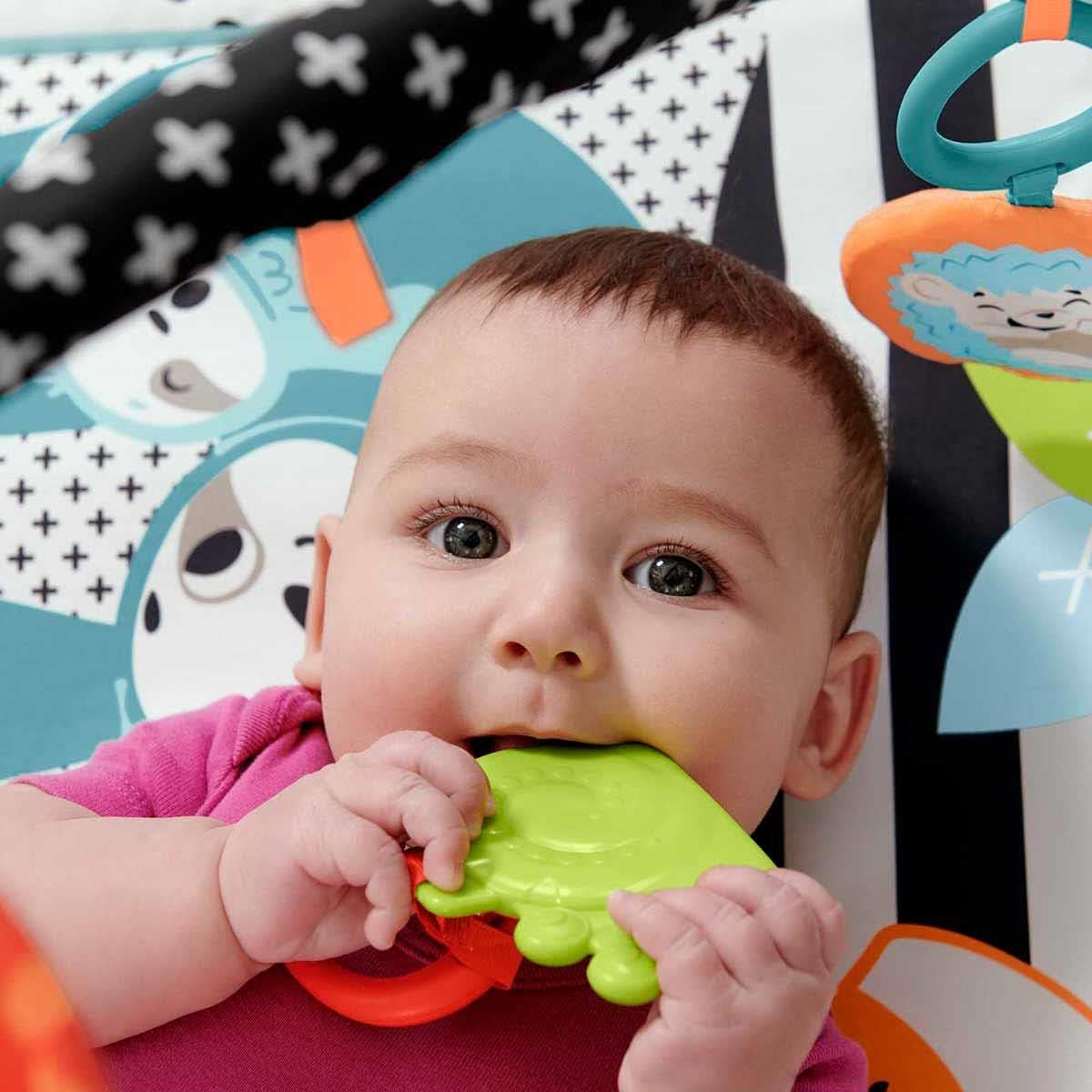 Fisher Price - Activity Platform