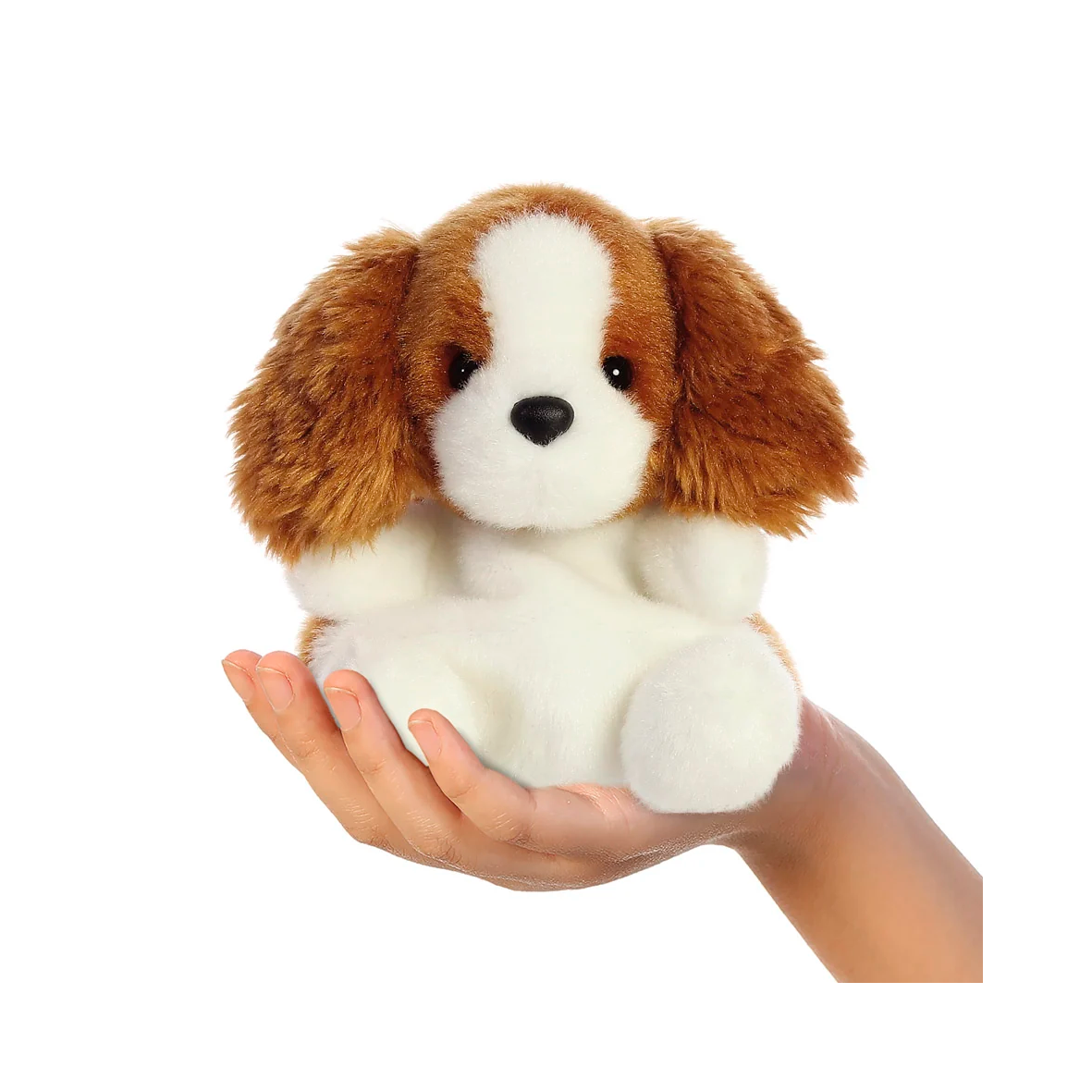 Palm Pals - Lady Spiniel Dog
