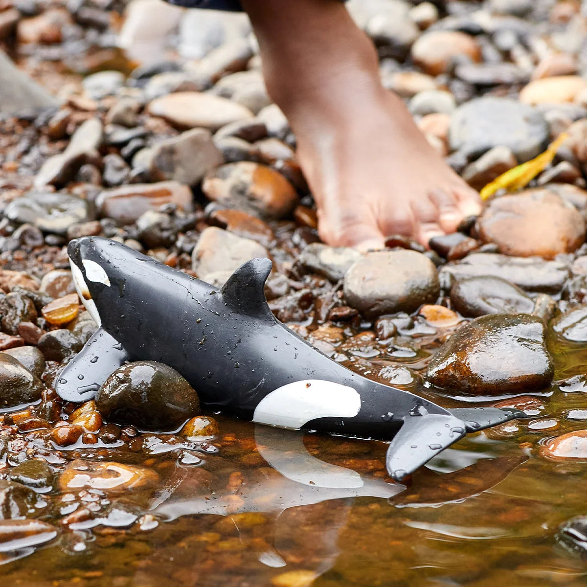 Schleich - Farm World - Killer Whale (14807)