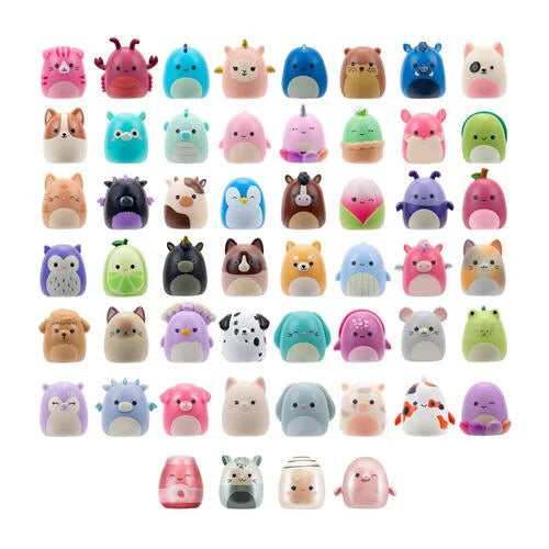 Squishmallows - Squish a longs - Blind Box