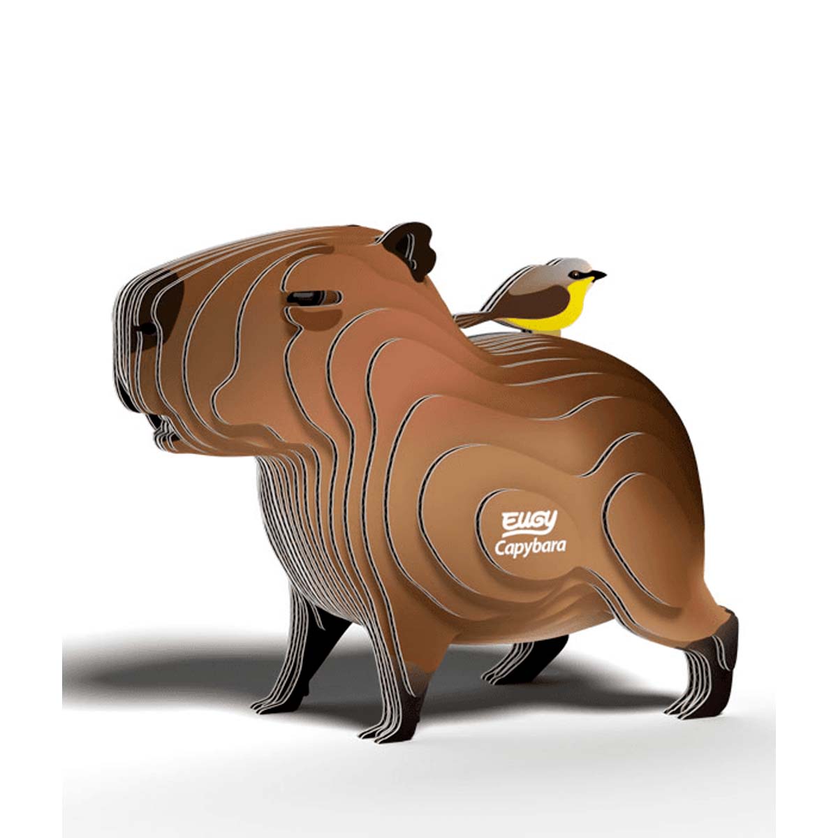 EUGY - Capybara