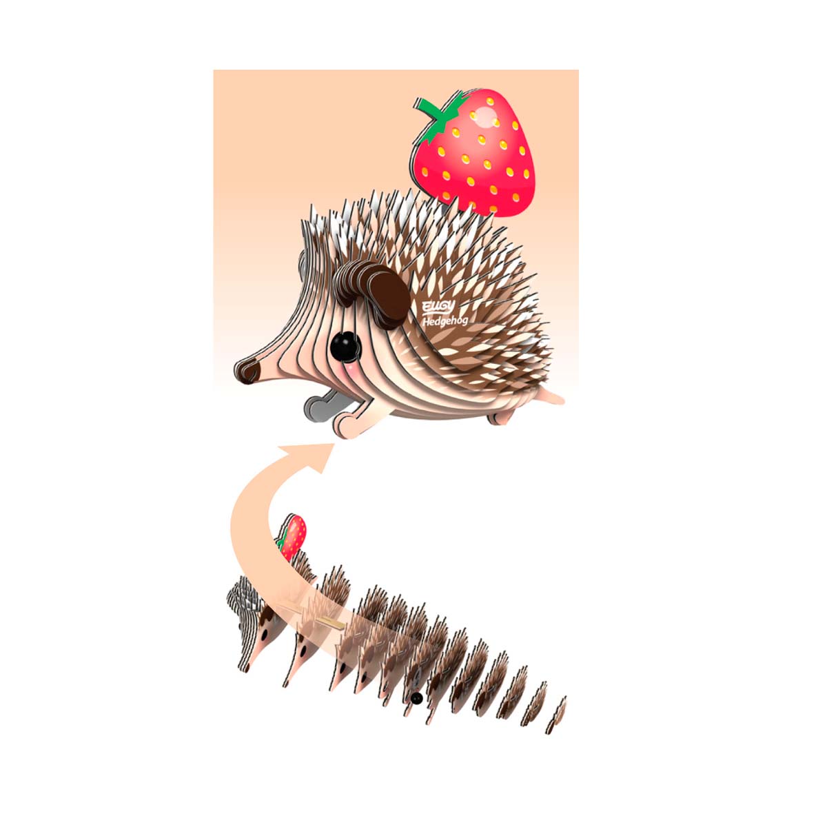 EUGY - Hedgehog