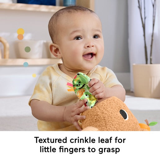 Fisher Price - Snuggly Snacky Capybara