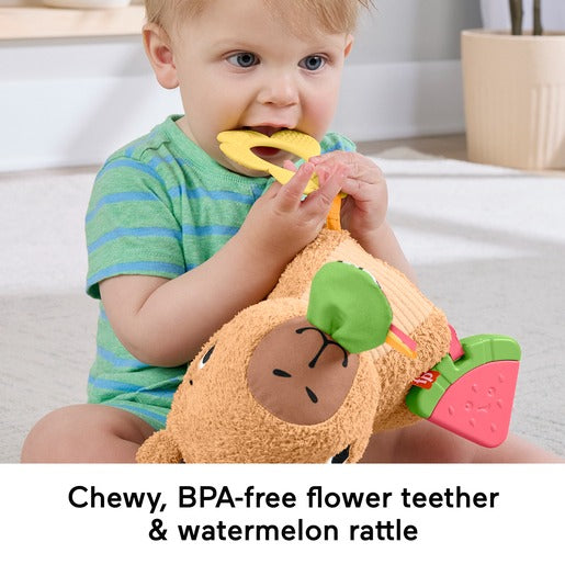 Fisher Price - Snuggly Snacky Capybara