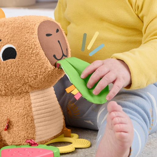 Fisher Price - Snuggly Snacky Capybara