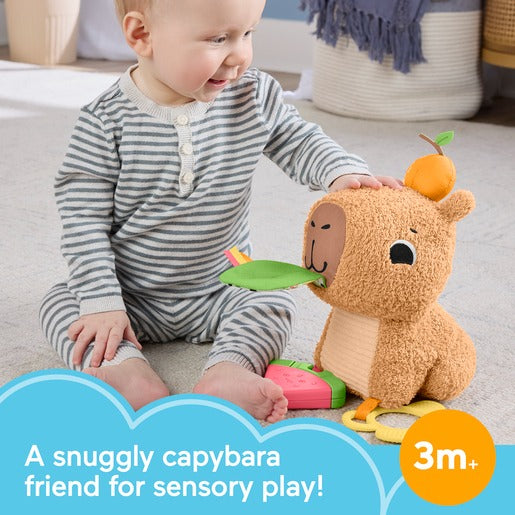 Fisher Price - Snuggly Snacky Capybara