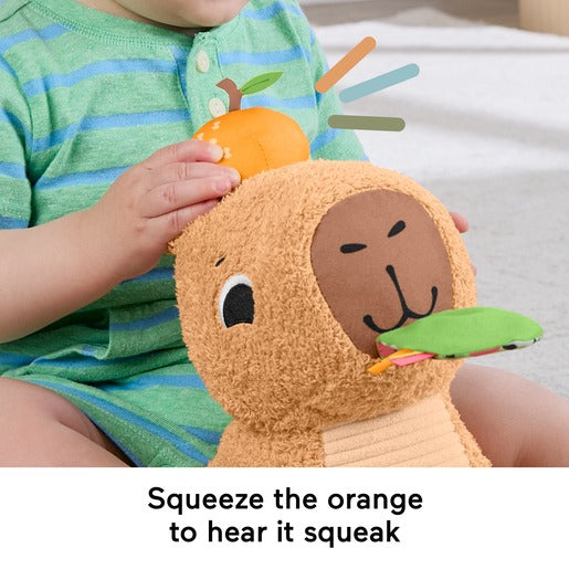 Fisher Price - Snuggly Snacky Capybara