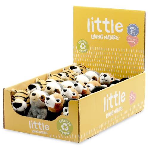 Little Buddies - Jungle