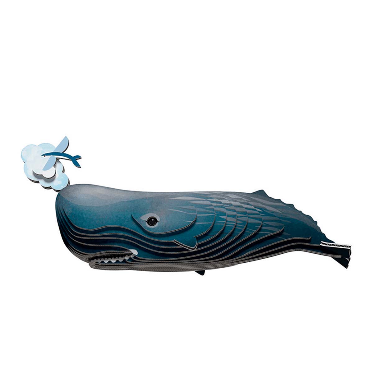 EUGY - Sperm Whale