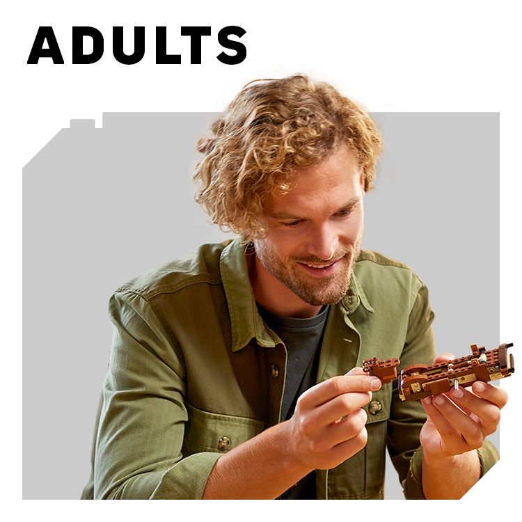 LEGO - Ages 18+