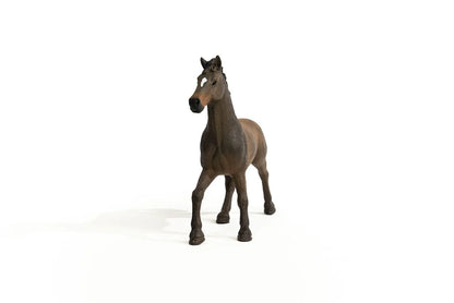 Schleich - Farm World - Oldenburger Stallion (13946)