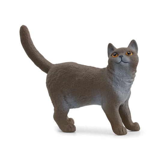 Schleich - Farm World -British Shorthair Cat (13973)
