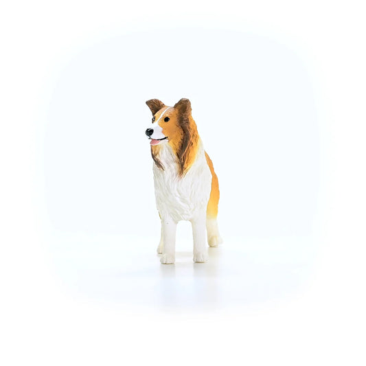 Schleich - Farm World - Collie (13998)