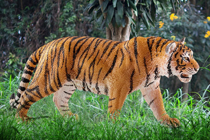 Schleich - Farm World - Tiger (14729)