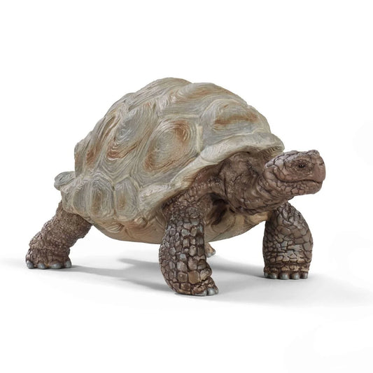 Schleich - Farm World - Giant tortoise (14824)