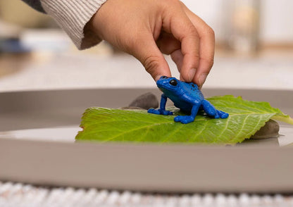 Schleich - Farm World - Blue Poison Dart Frog (14864)