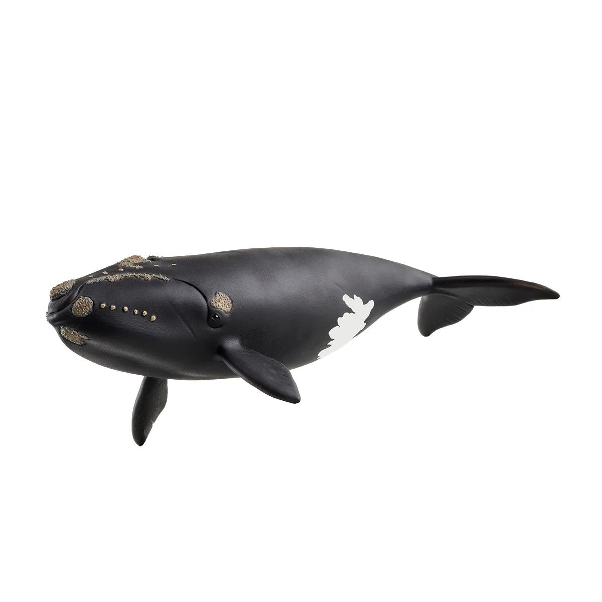 Schleich - Farm World - North Atlantic Right Whale (14878)