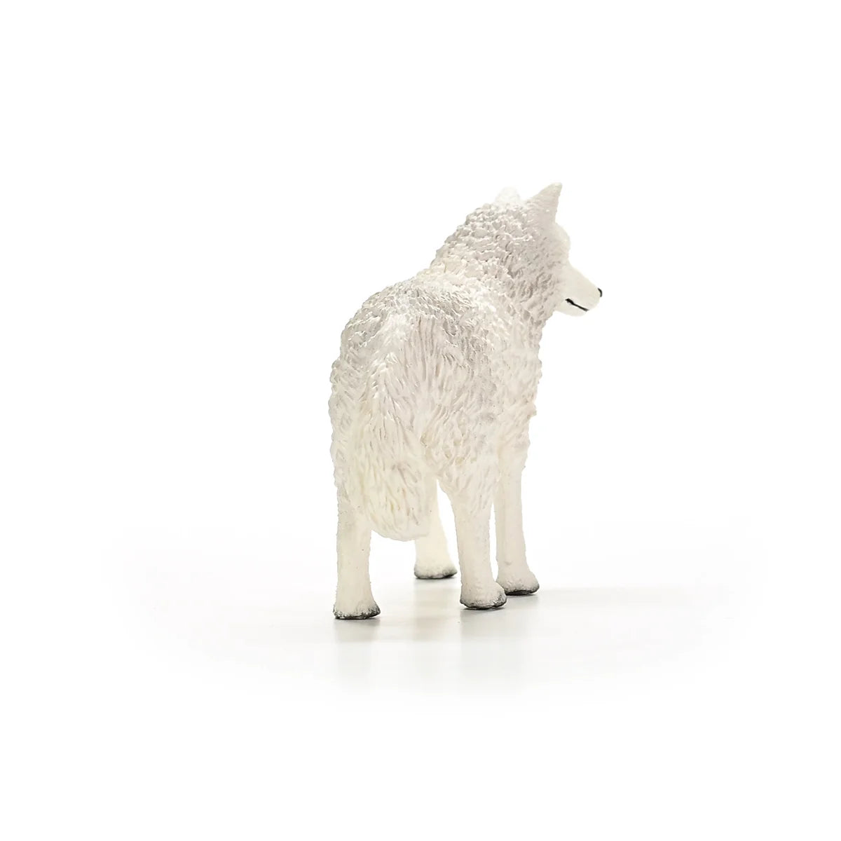Schleich - Farm World - Arctic Wolf  (14880)