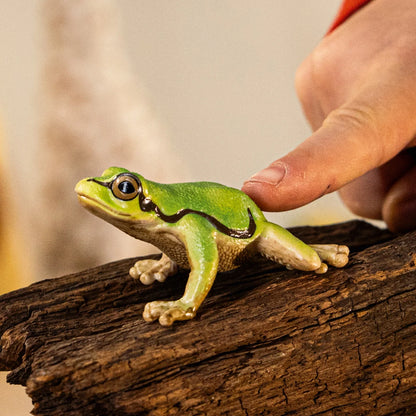 Schleich - Farm World - European Tree Frog (14882)