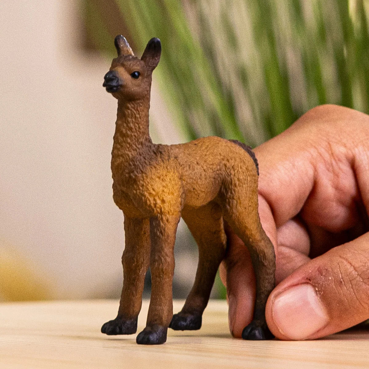 Schleich - Farm World - Llama Foal (14890)
