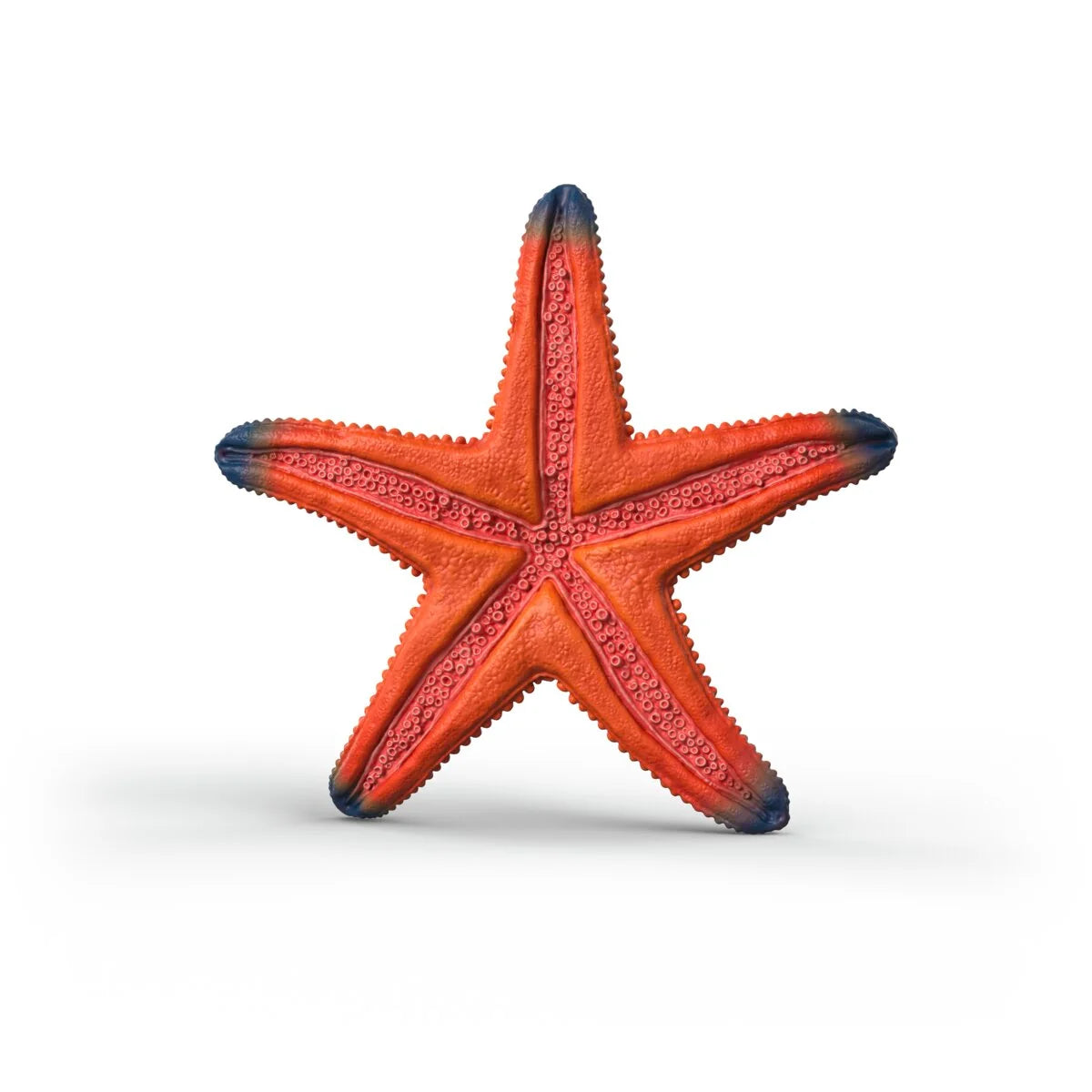 Schleich - Farm World - Starfish with color change (14902)